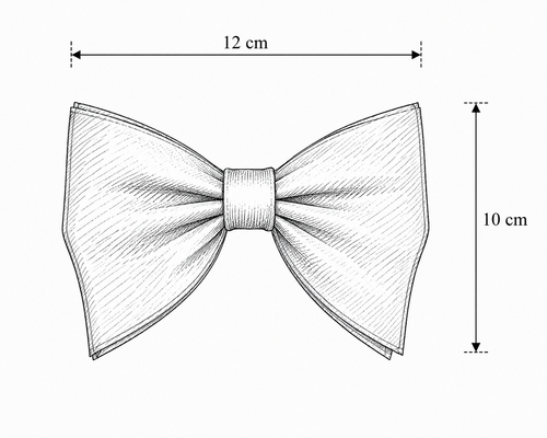Black Embroidered Bowtie