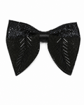 Blue Embroidered Butterfly Bowtie